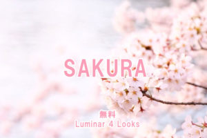 Luminar 4のLooks（プリセット）「SAKURA」